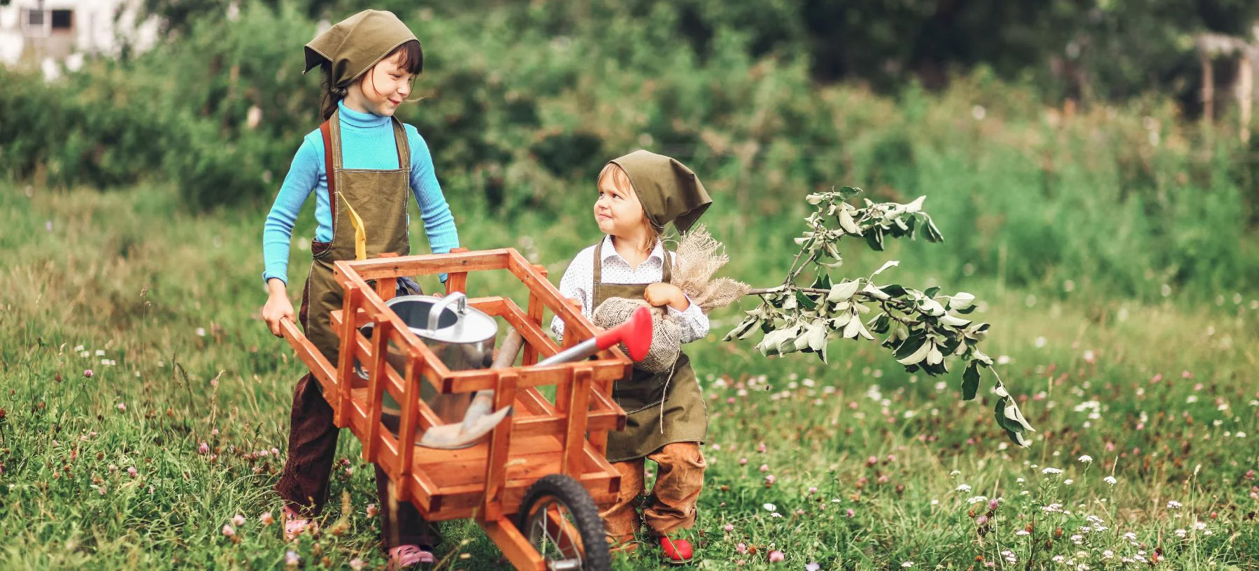 Gardening Supplies Store -Gardening Supplies Store 1