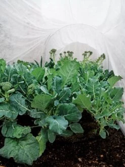 Summerweight Garden Fabric -Gardening Supplies Store 32644 7936 tif