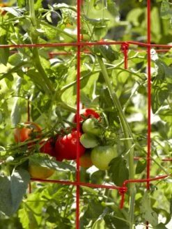 Tomato Cages, Set Of 4 -Gardening Supplies Store 34182 592