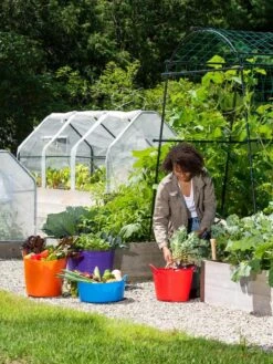 3-Season Plant Protection Tent, 3' X 6' -Gardening Supplies Store 35 592 0181 1