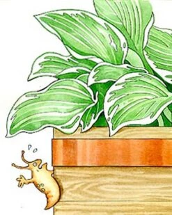 Copper Slug Tape -Gardening Supplies Store 38 994 b