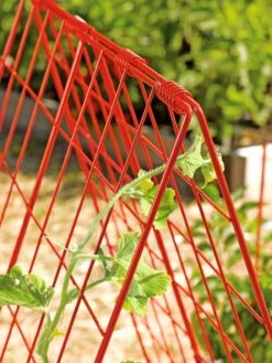 Deluxe Cucumber Trellis -Gardening Supplies Store 39806 542 tif