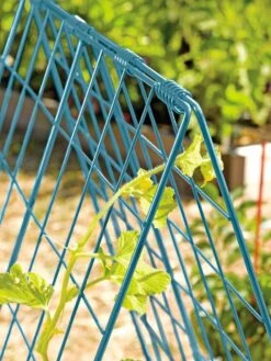 Deluxe Cucumber Trellis -Gardening Supplies Store 39806 BLUE 100 tif