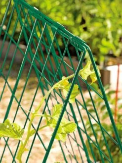 Deluxe Cucumber Trellis -Gardening Supplies Store 39806 GR edit tif
