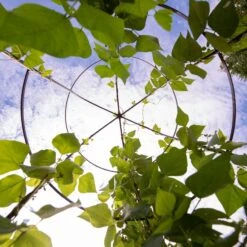 Jardin Tower -Gardening Supplies Store 3 4 crop 8612997 0033