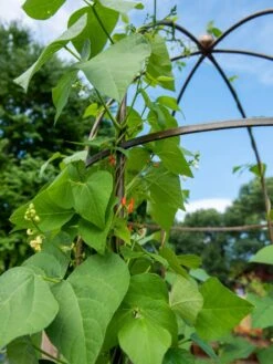 Jardin Tower -Gardening Supplies Store 3 4 crop 8612997 0058