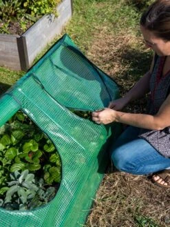 Multi Cloche -Gardening Supplies Store 3 4 crop 8613213 0245