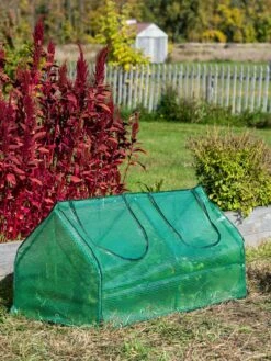 Gardening Supplies Store -Gardening Supplies Store 3 4 crop 8613213 0262