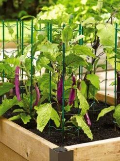 Pepper And Eggplant Stakes, Set Of 3 -Gardening Supplies Store 40308 2116 tif