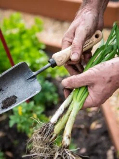 Gardener's Lifetime Trowel -Gardening Supplies Store 8586972 3286 tif
