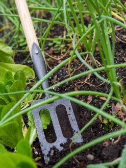 Gardener's Lifetime Spork -Gardening Supplies Store 8586973 2383 tif