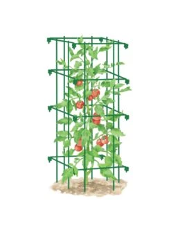 Tomato Cage, Single -Gardening Supplies Store 8587039 TomatoCage GRN tif
