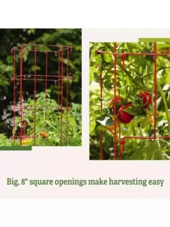 Tomato Cages, Set Of 4 -Gardening Supplies Store 8587040 2