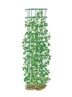 Bean Tower -Gardening Supplies Store 8587060 0008 GRN tif
