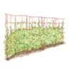 Expandable Pea Trellis
