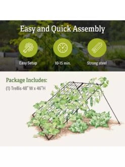 Large Cucumber Trellis -Gardening Supplies Store 8587082 product details