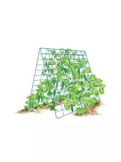 Deluxe Cucumber Trellis -Gardening Supplies Store 8587083 001 BLUE Cukes two sided deluxe cucumber trellis support storm blue 3 4