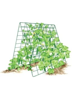 Deluxe Cucumber Trellis -Gardening Supplies Store 8587083 001 GRN tif