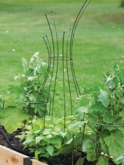 Jardin Pot Trellis -Gardening Supplies Store 8587120 7037 tif