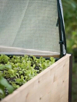 Protection Frame & Covers, 2' X 4' -Gardening Supplies Store 8587631 265 tif 1