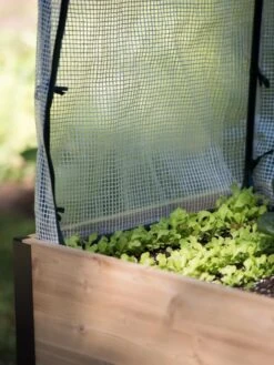 Protection Frame & Covers, 2' X 8' -Gardening Supplies Store 8587631 268 tif