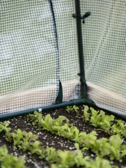 Protection Frame & Covers, 2' X 8' -Gardening Supplies Store 8587631 271 tif