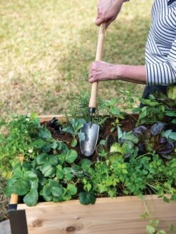 Gardener's Lifetime Raised Bed Trowel -Gardening Supplies Store 8588014 4084 tif