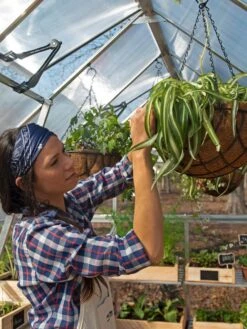 Canopia® By Palram Balance Greenhouse, 8' X 12' -Gardening Supplies Store 8588023 07V jpg