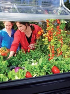 Canopia® By Palram Plant Inn™ Raised Bed Greenhouse, 4' X 4' -Gardening Supplies Store 8588308 03V tif