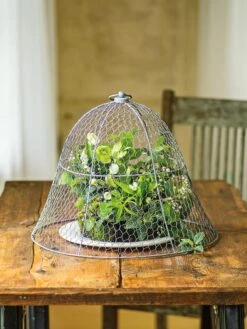 Chicken Wire Cloche -Gardening Supplies Store 8590210 1 tif