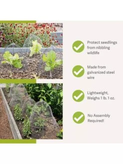 Gardening Supplies Store -Gardening Supplies Store 8590210 4