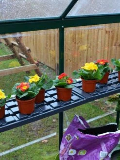 Canopia® By Palram Shelf Kit For Greenhouses, Set Of 2 Shelves -Gardening Supplies Store 8591033 09V jpg