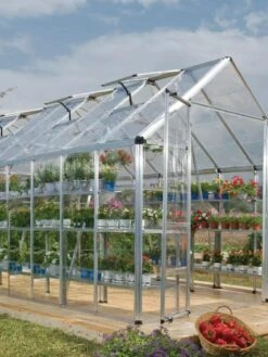 Canopia® By Palram Harmony™ Snap & Grow Greenhouse, 8' -Gardening Supplies Store 8591043 02V tif