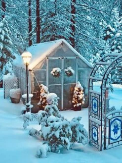 Canopia® By Palram Harmony™ Snap & Grow Greenhouse, 8' -Gardening Supplies Store 8591048 06V jpg