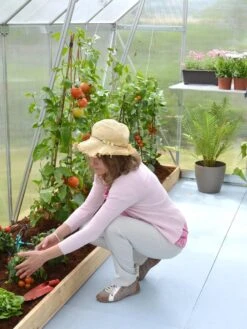 Canopia® By Palram Essence™ Greenhouse, 8' X 12' -Gardening Supplies Store 8591356 04V tif