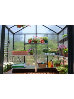 Canopia® By Palram Glory™ Greenhouse, 8' -Gardening Supplies Store 8591547 02v