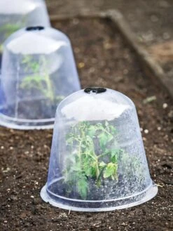 Large Garden Cloches, Set Of 3 -Gardening Supplies Store 8593984 9432 tif