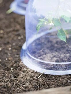 Medium Garden Cloches, Set Of 6 -Gardening Supplies Store 8593985 9441 tif