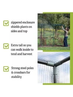 Crop Cage, 4' X 12' -Gardening Supplies Store 8596540 4