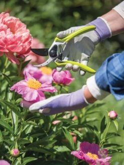 Gardener's Pro Pruner #2 -Gardening Supplies Store 8596605 1261 tif