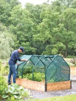 3-Season Plant Protection Tent, 4' X 8' -Gardening Supplies Store 8598282 0101 tif