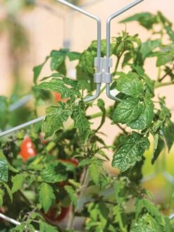 Gardener's Vertex Lifetime Tomato Cage -Gardening Supplies Store 8598426 0011 tif