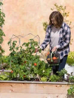 Gardener's Vertex Lifetime Tomato Cage -Gardening Supplies Store 8598426 0026 tif