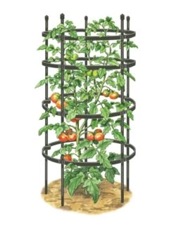 Titan Tomato Cages, Set Of 3 -Gardening Supplies Store 8599861 0001 art tif