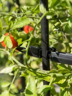 Titan Tomato Cages, Set Of 3 -Gardening Supplies Store 8599861 0079 tif