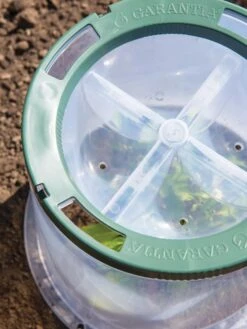 Sunny Forcing Cloches, Set Of 3 -Gardening Supplies Store 8600075 0742 tif