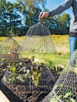 Chicken Wire Cloche With Extension -Gardening Supplies Store 8600116 0604 3 4