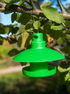 Slug And Snail Traps, Set Of 3 -Gardening Supplies Store 8600120 1792