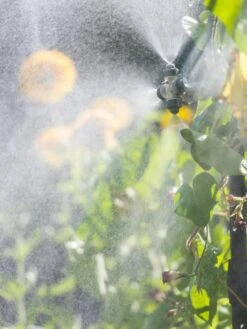 Landscape 4-Way Cooling Mist Kit, 50' -Gardening Supplies Store 8600154 0695 tif