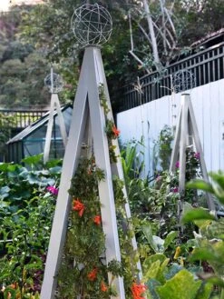 Akoris Garden Tuteur Jr. -Gardening Supplies Store 8600517 07V tif